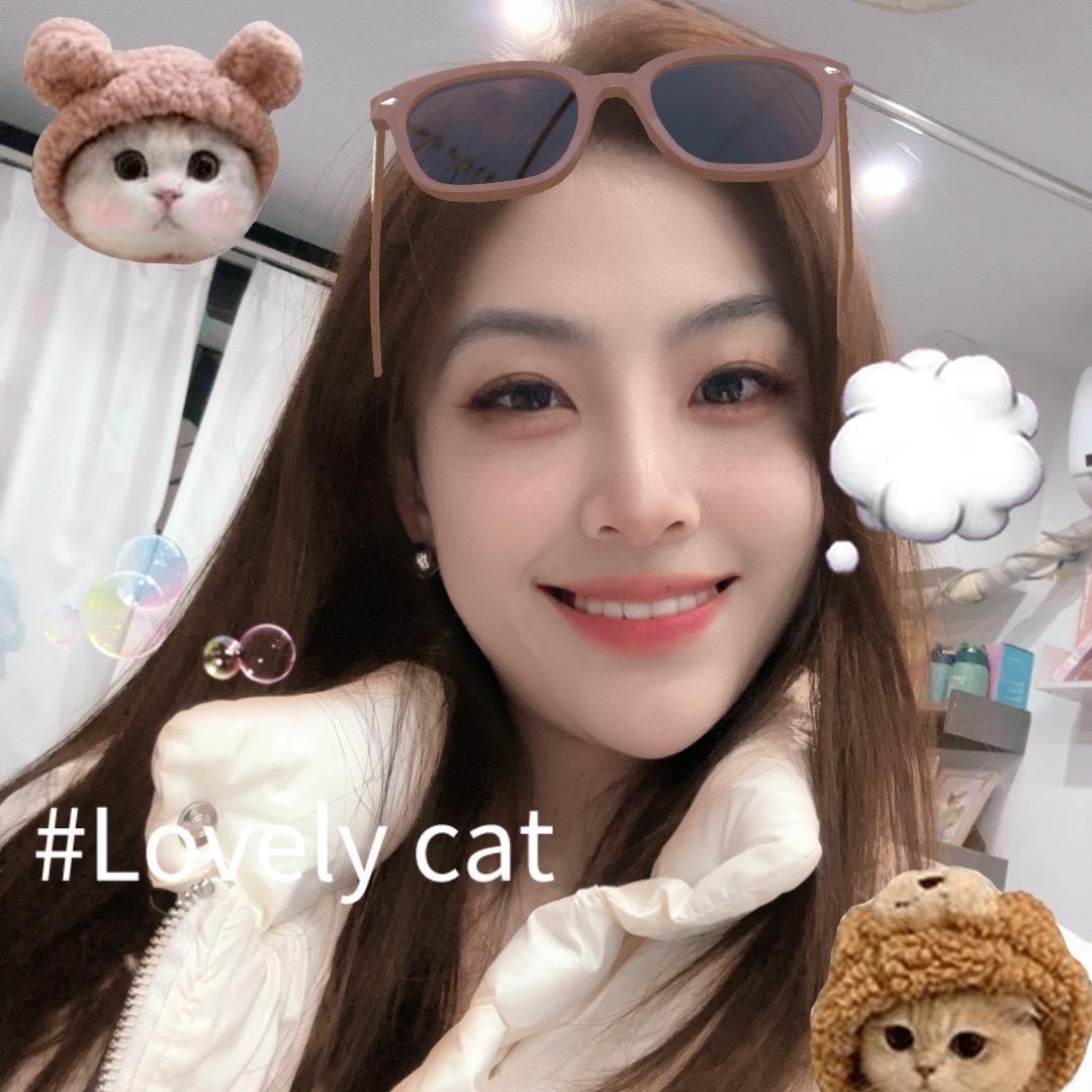 小姐姐的特斯拉