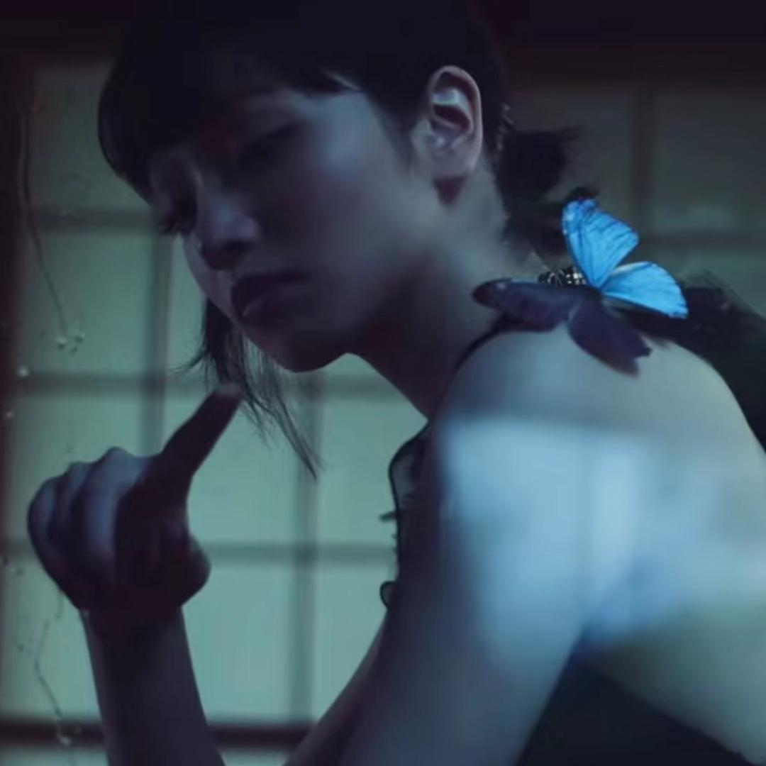 蝶🦋