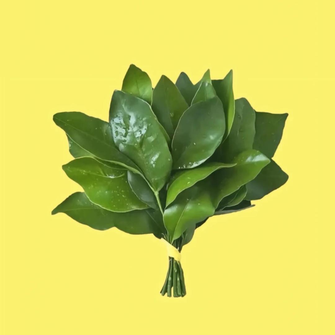 小娥158