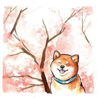 狮子