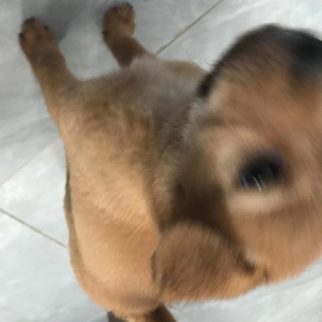 随便随便