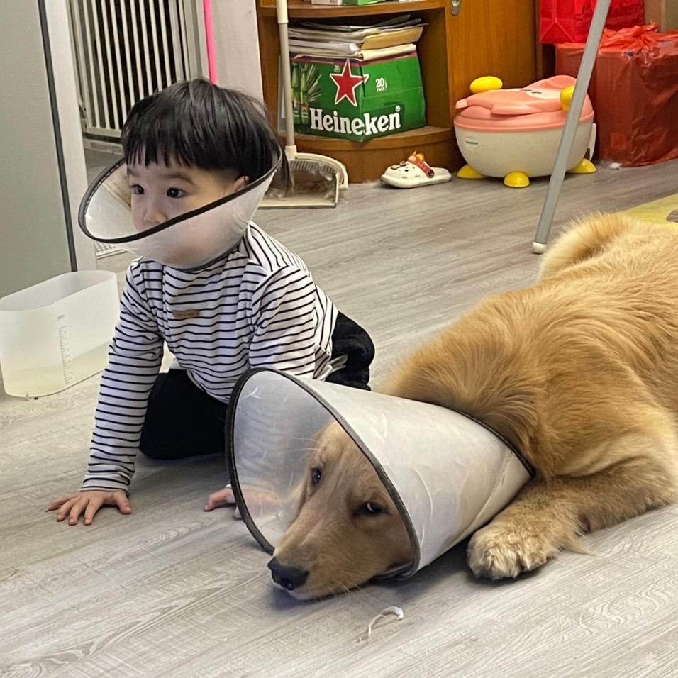 欢喜是个大鸡毛