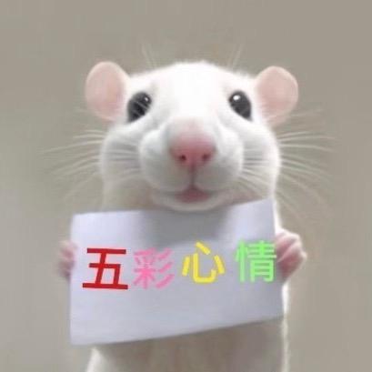 人不吃垃圾食品就会死