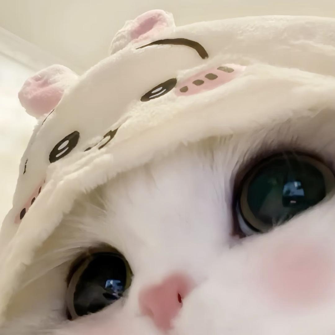 士多啤梨不是梨