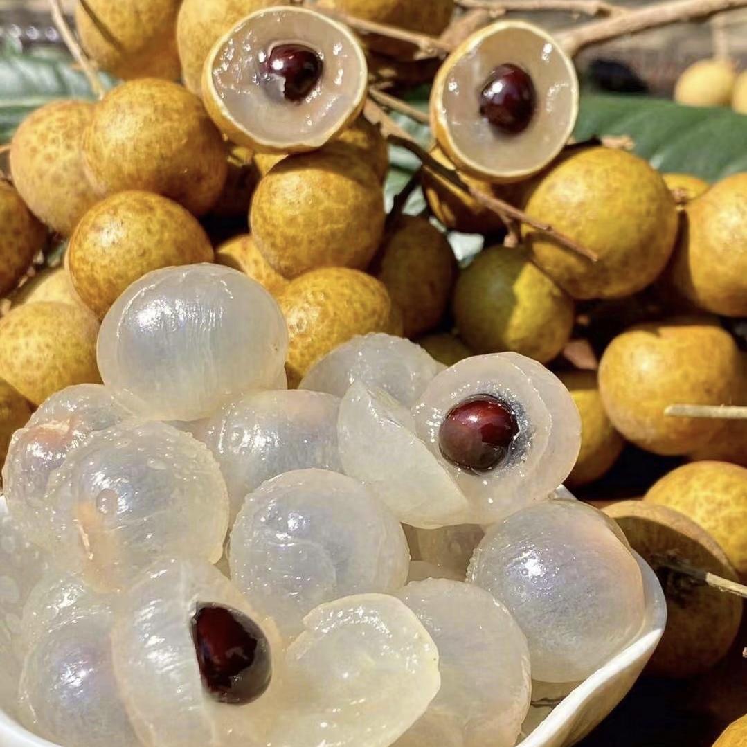 源源水果供应链