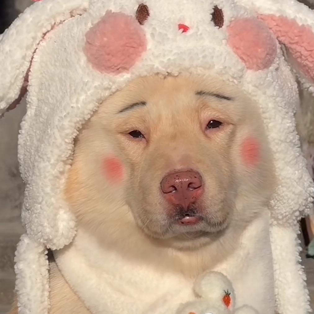 芒果酥