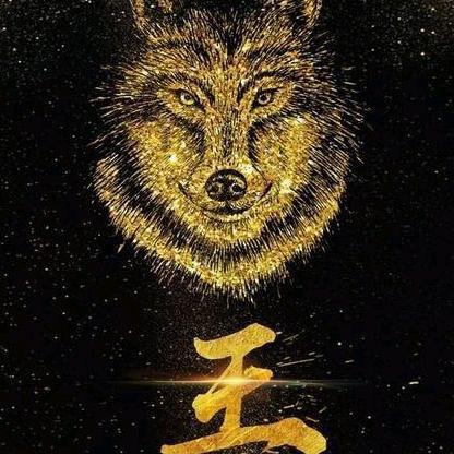 @孤傲的狼
