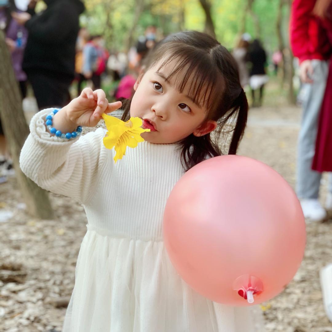 麋鹿和溪水
