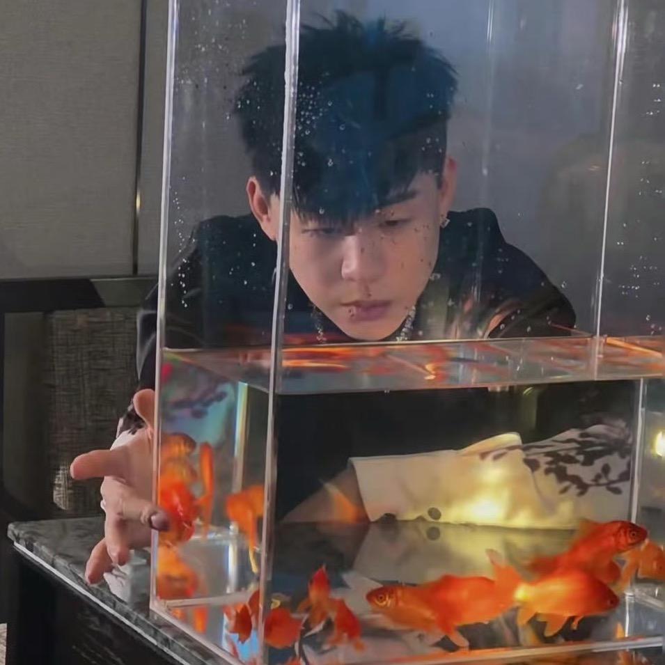 邦尼佳z(hu彦斌2025演唱会）