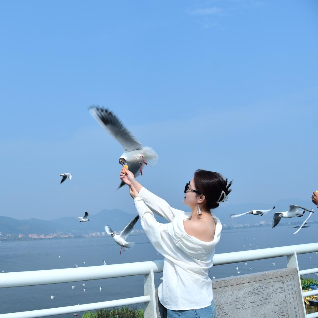 我是大珊