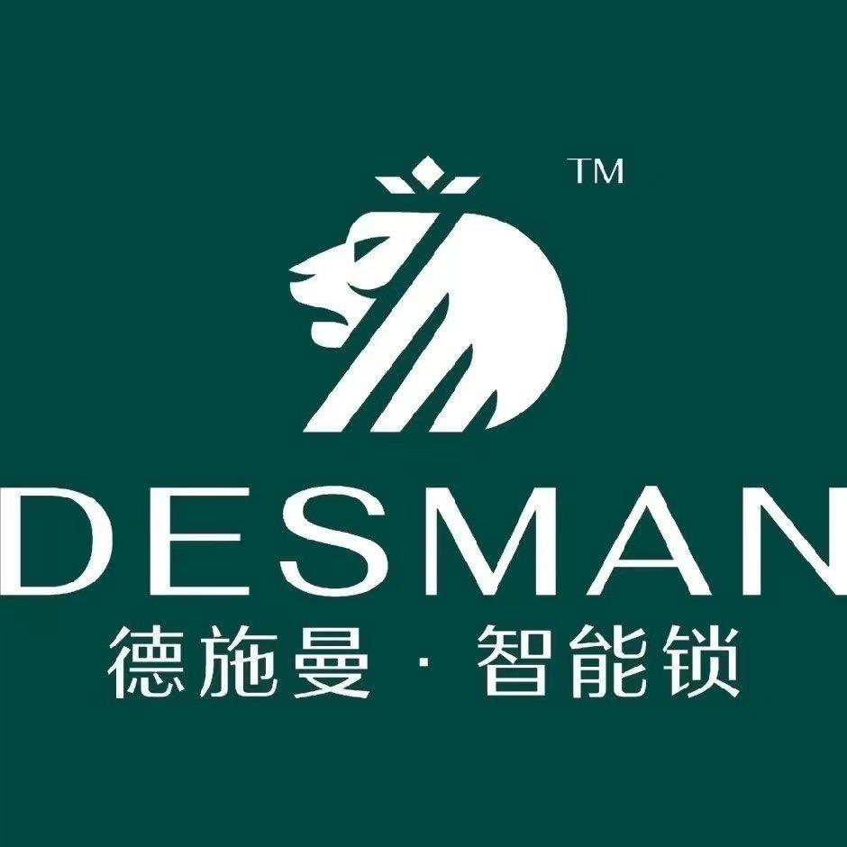 运城德施曼智能锁总代理