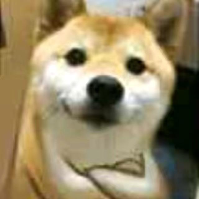 小乌鸦