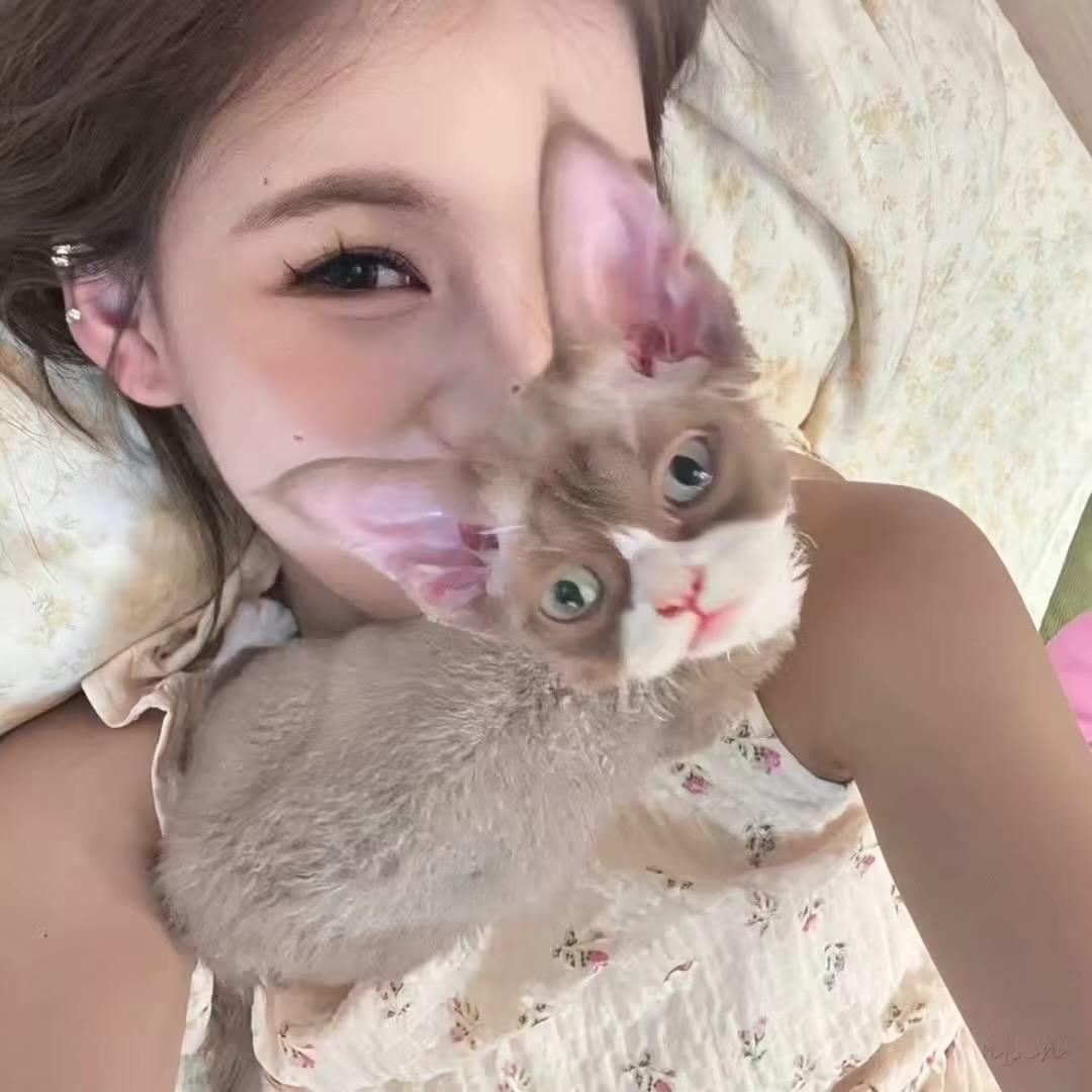 猪仔煲捞面