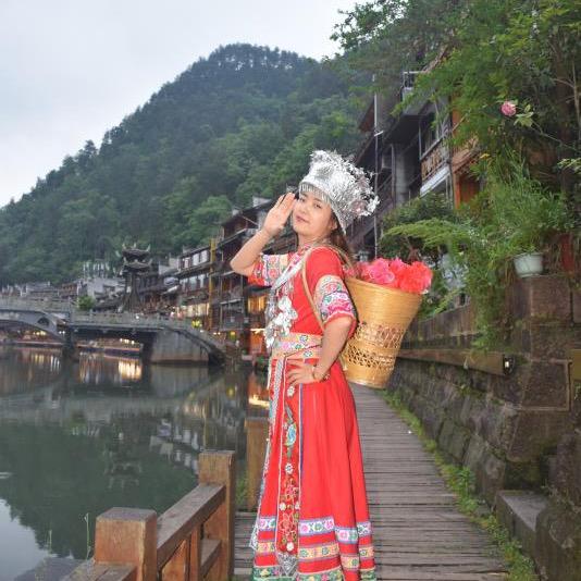 梧桐树🇨🇳