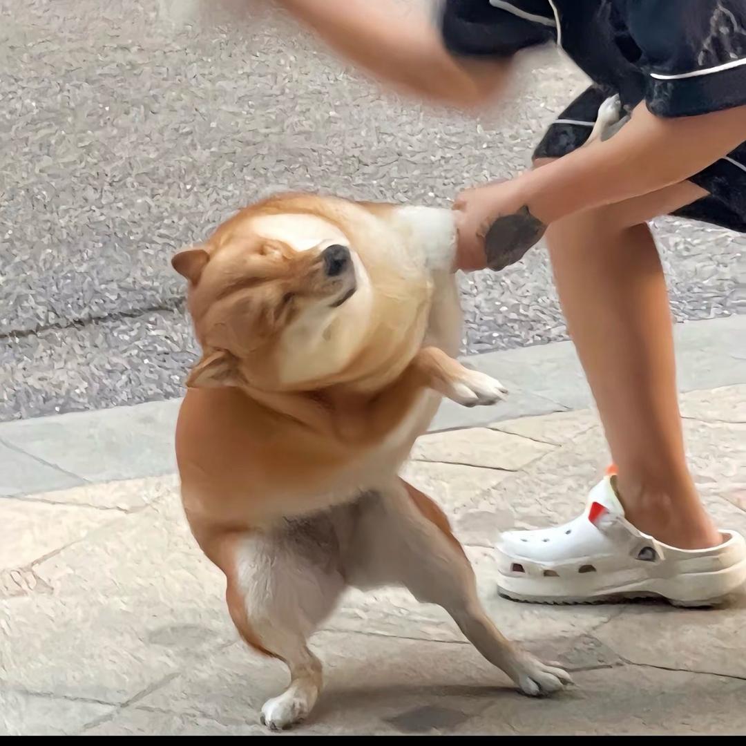 昭明