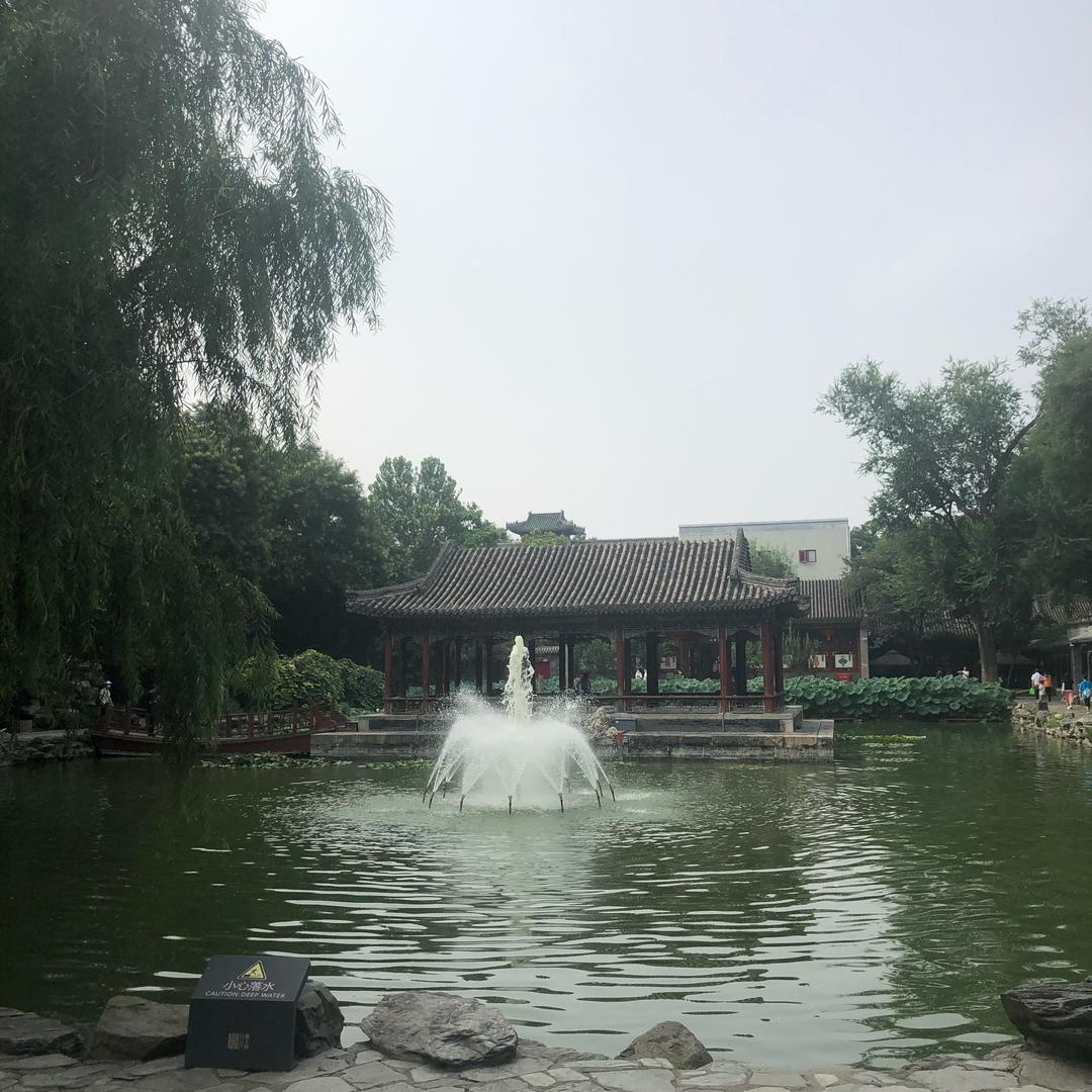 摩羯狗