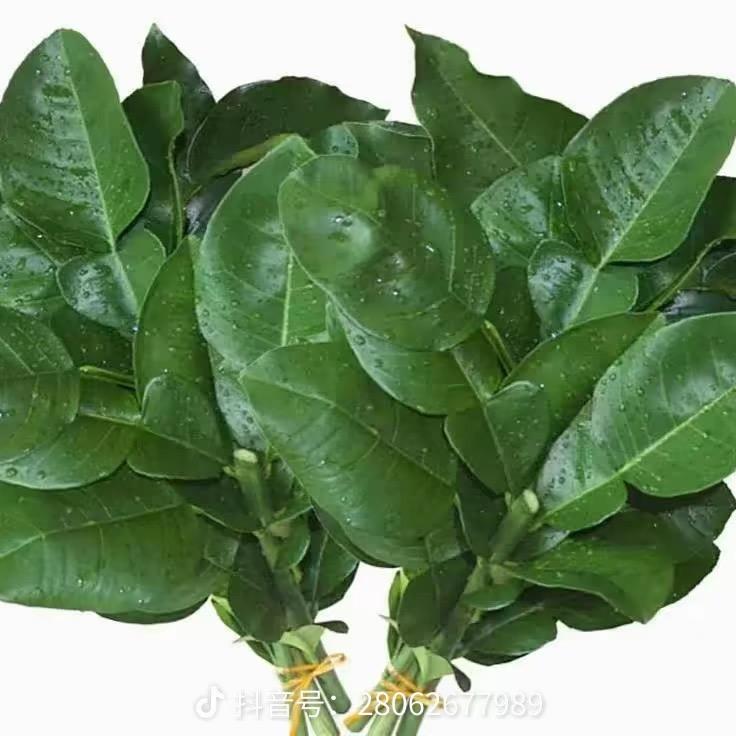 幸运女神👸🔮