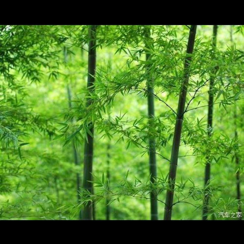 金.日杂压包花丙大量收购