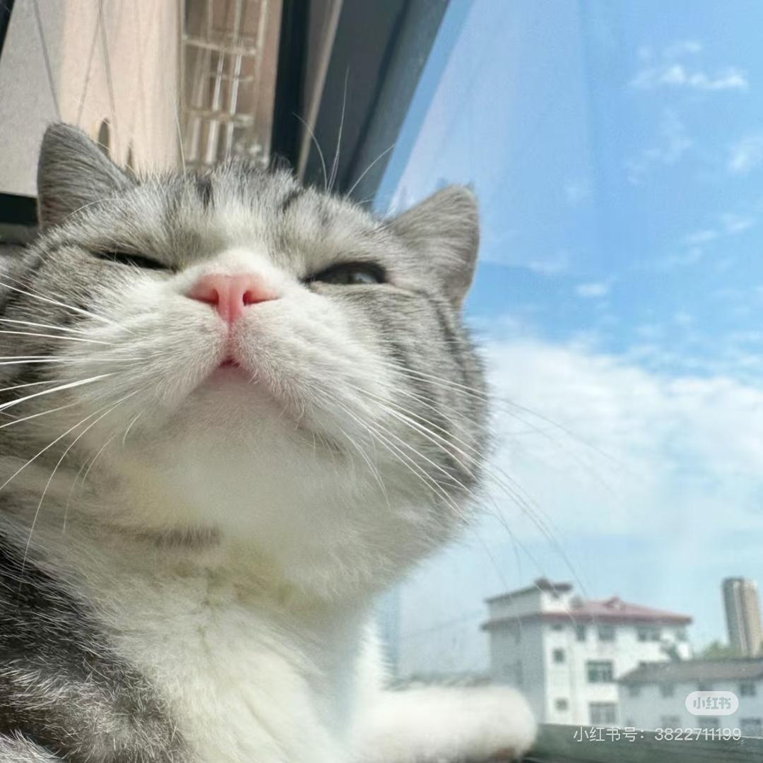 一口甜.