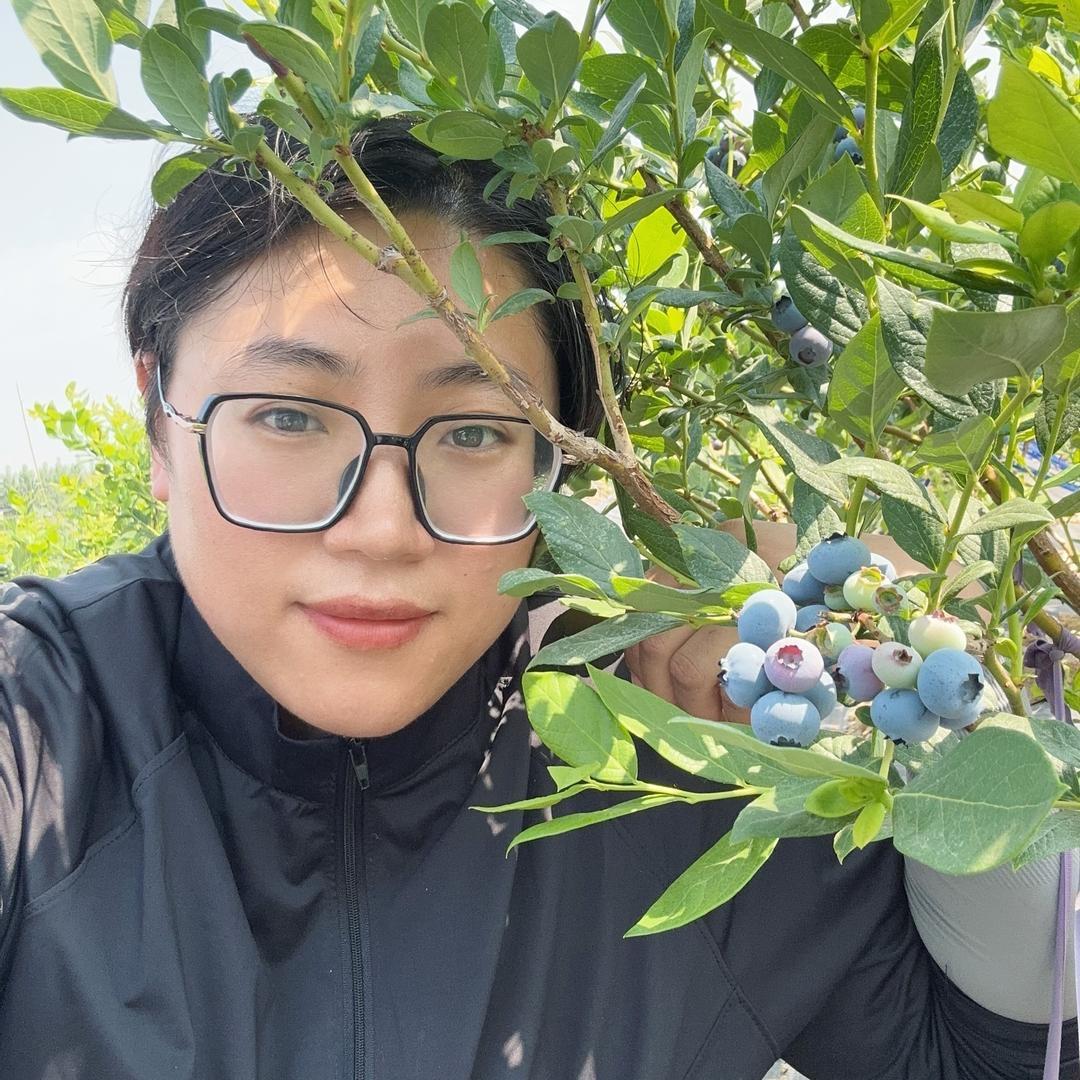 莒南县壮岗镇蓝莓－小唐书记