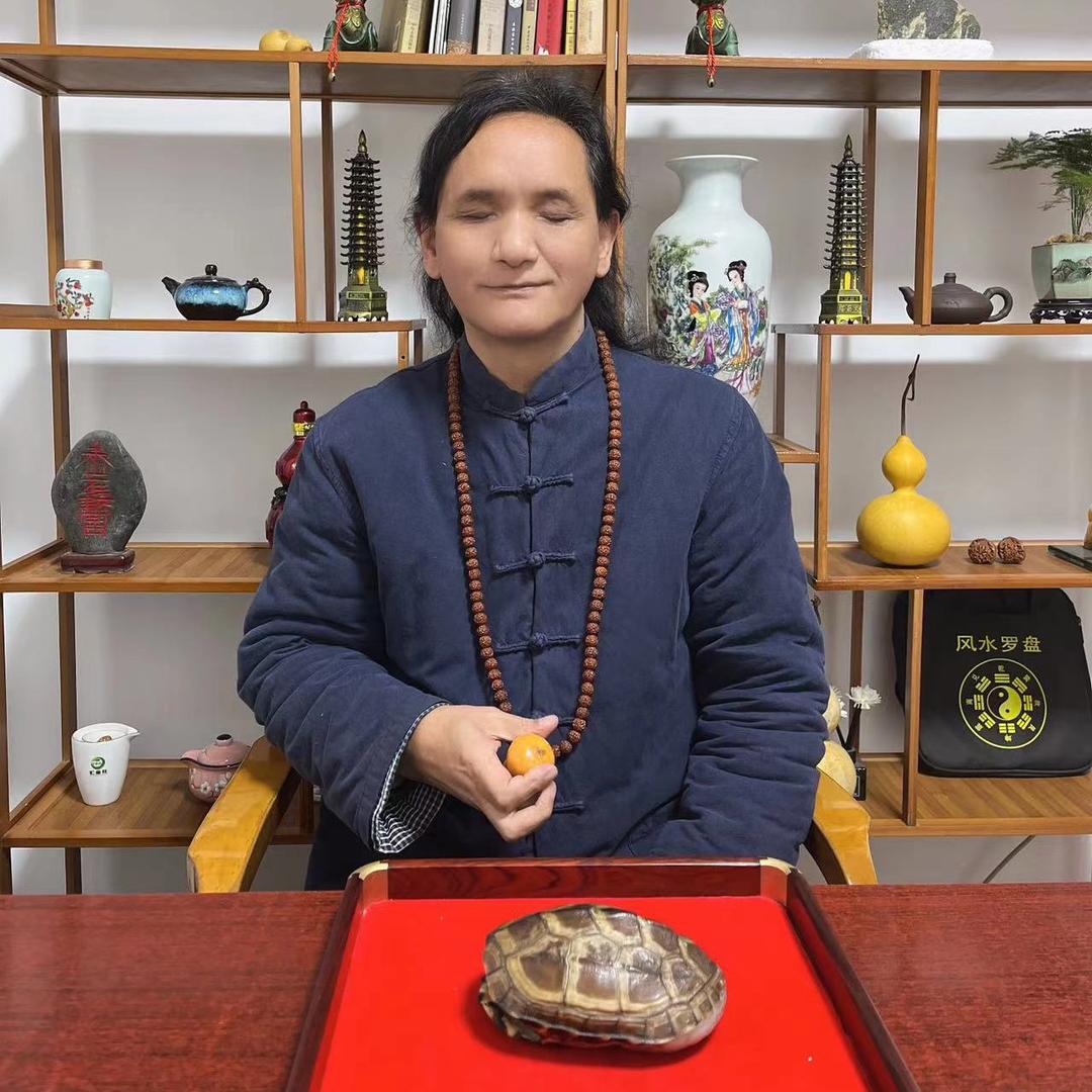文龙 说说 5号
