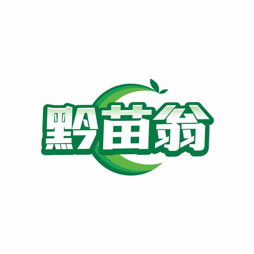 黔苗翁美食特产