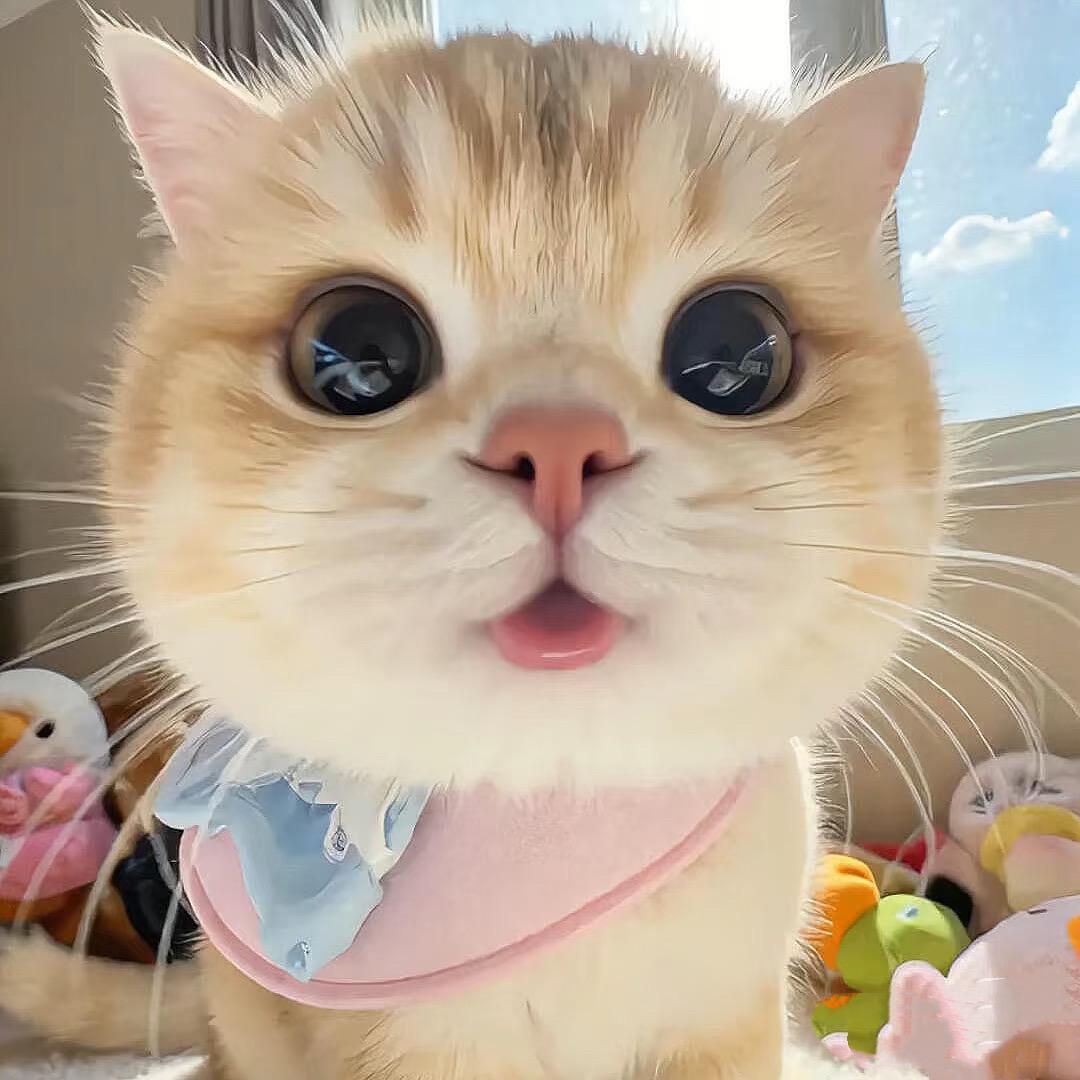 🍬🍬🍬
