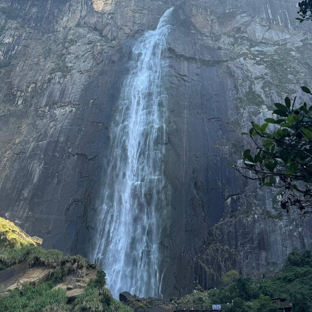 不止菜还又爱玩