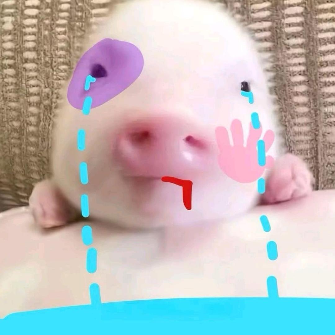 人丑嘴不甜长得危险还没钱