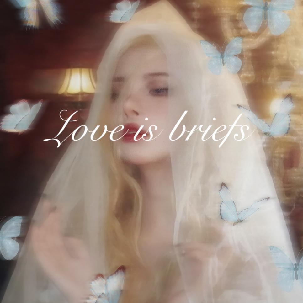 精致女人内衣服饰