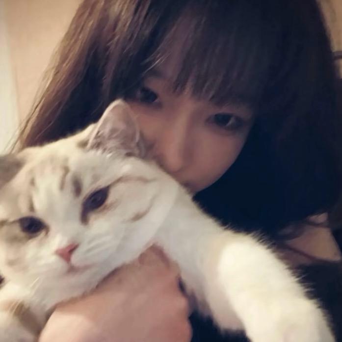 一只猫咪🐱