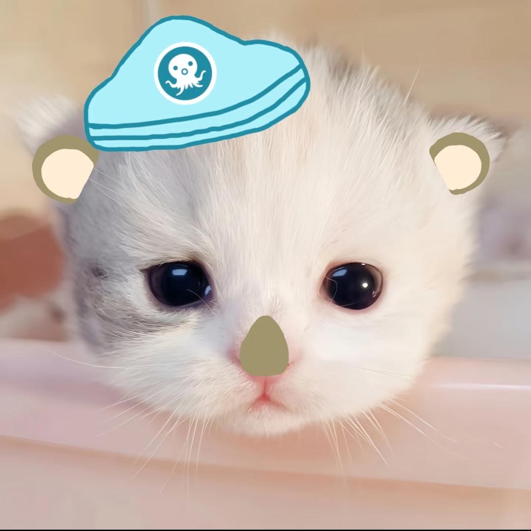我发誓再也不熬夜了
