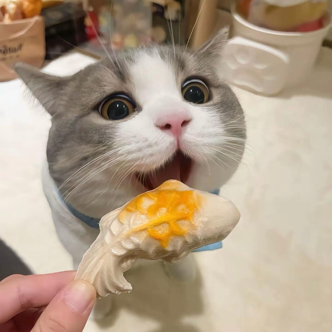 冬眠鱼