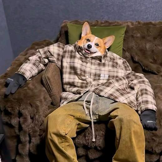 可不敢再骚情你💌