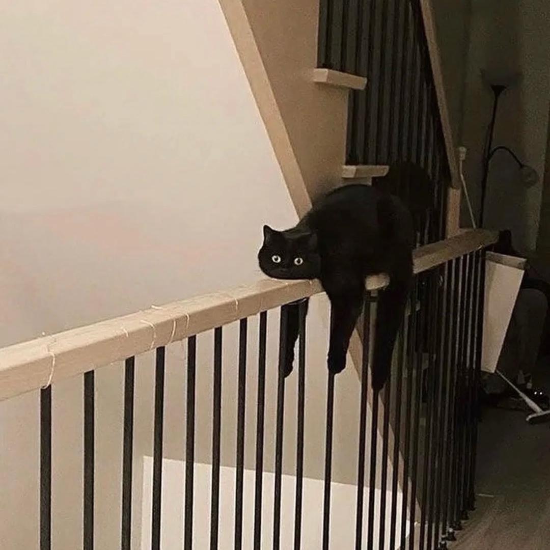 咕噜咕噜