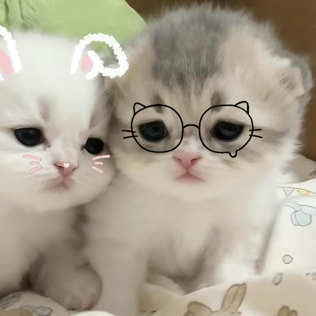 那么怎么这么帅