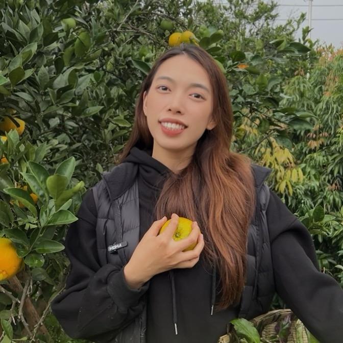 梦琳的乡村生活