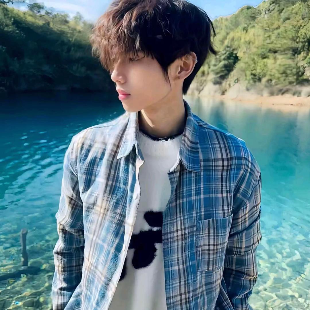 小狗别流泪