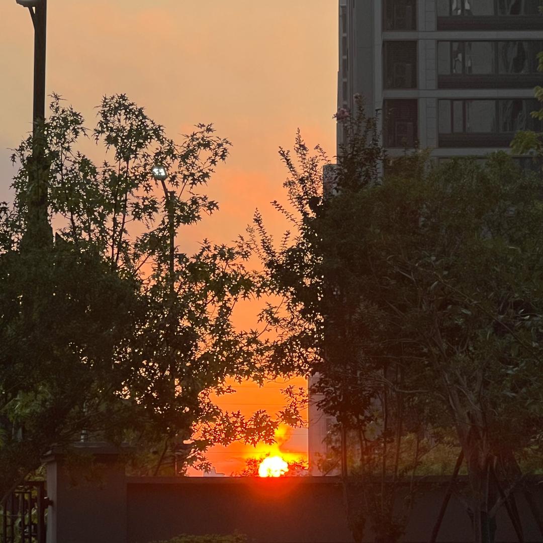 在浙玩