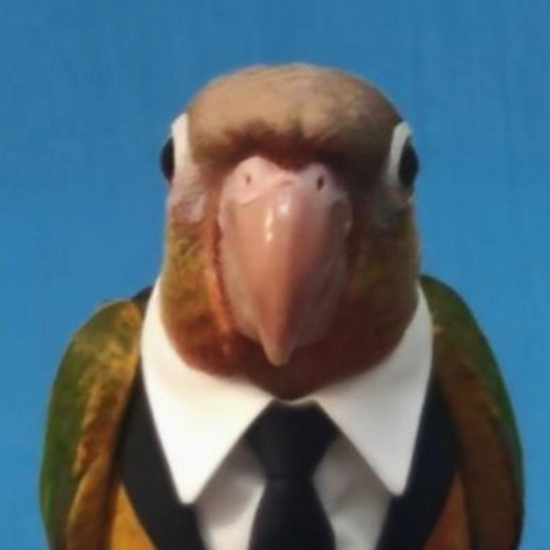 帅比