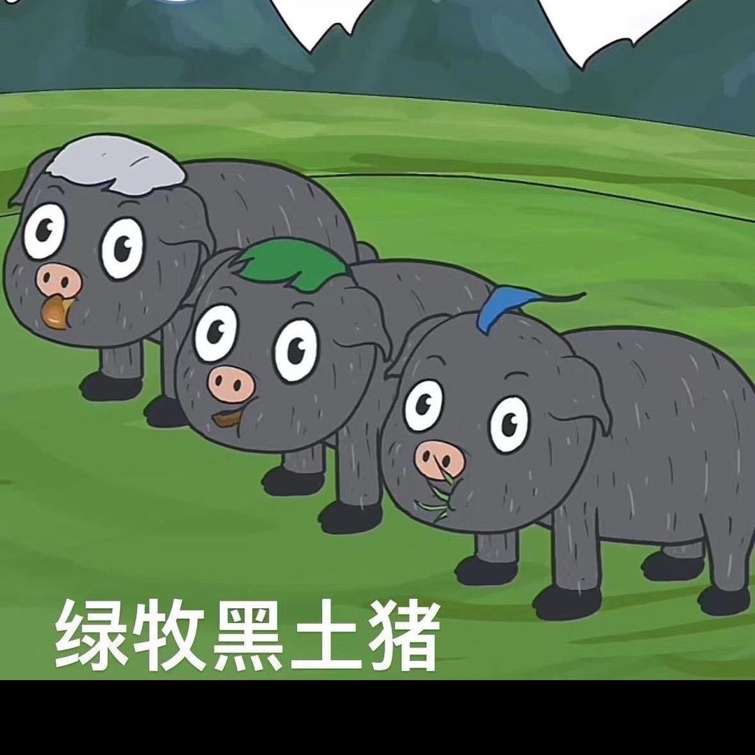 武汉黑土猪批发中心（绿牧）