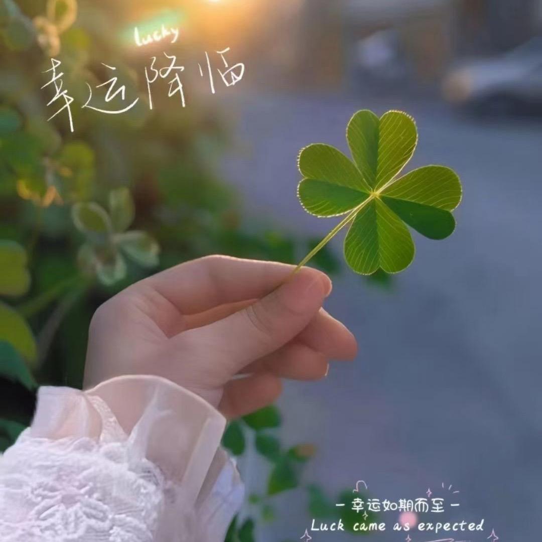 幸运🍀