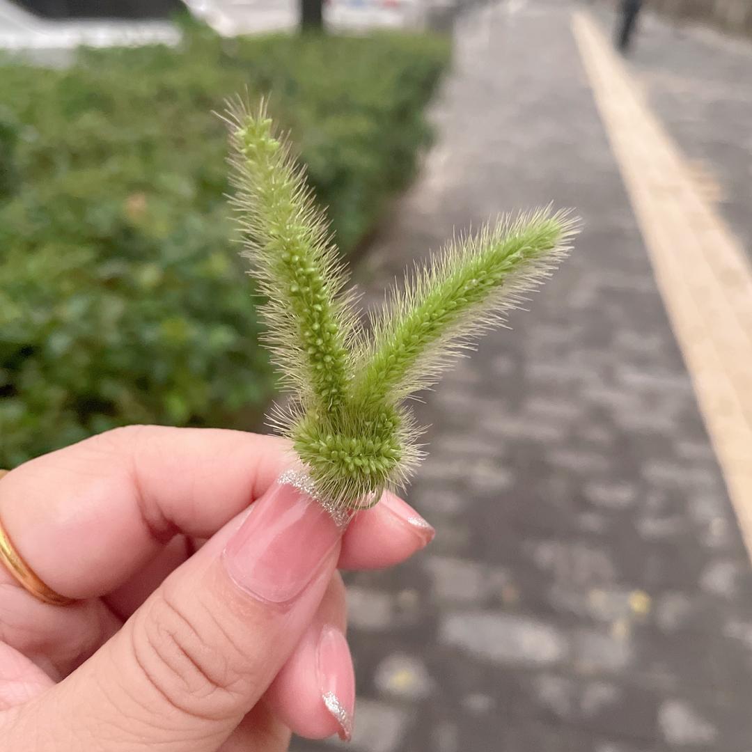 夏天的风🫧