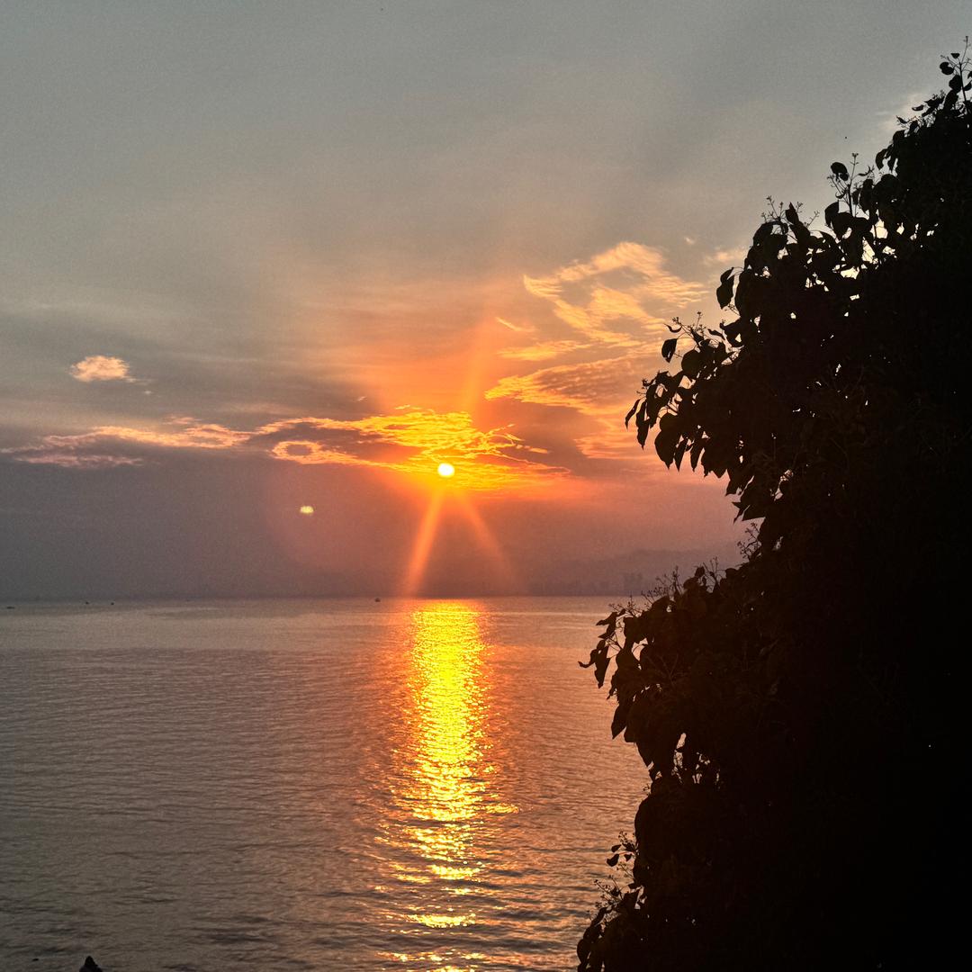 金猪猪˚‧* ♡̷