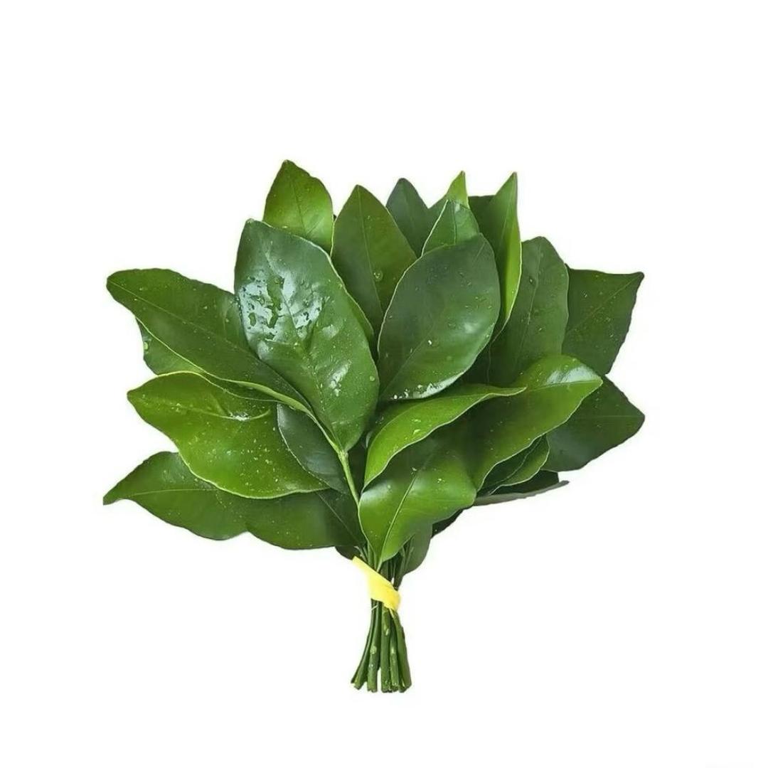 小玥.