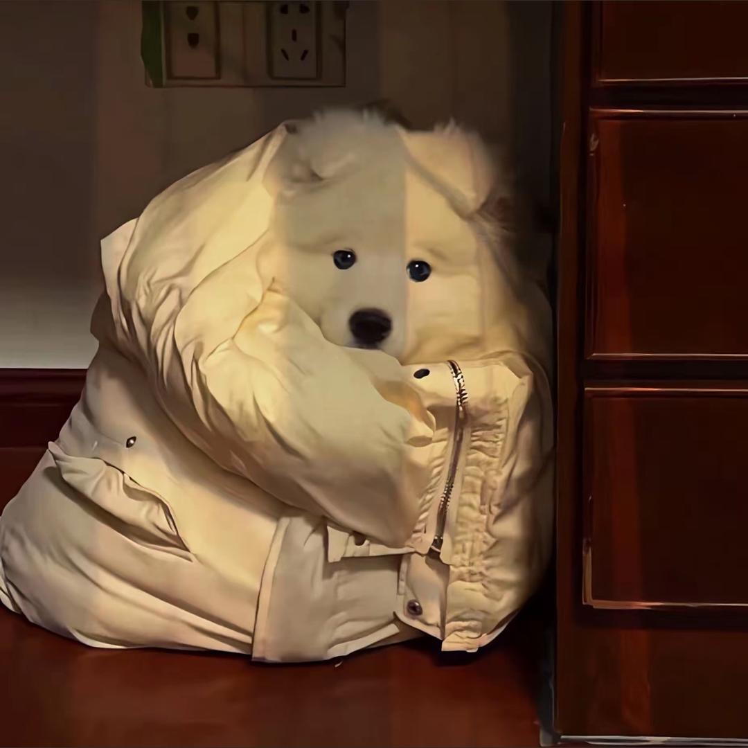 柇荟♡