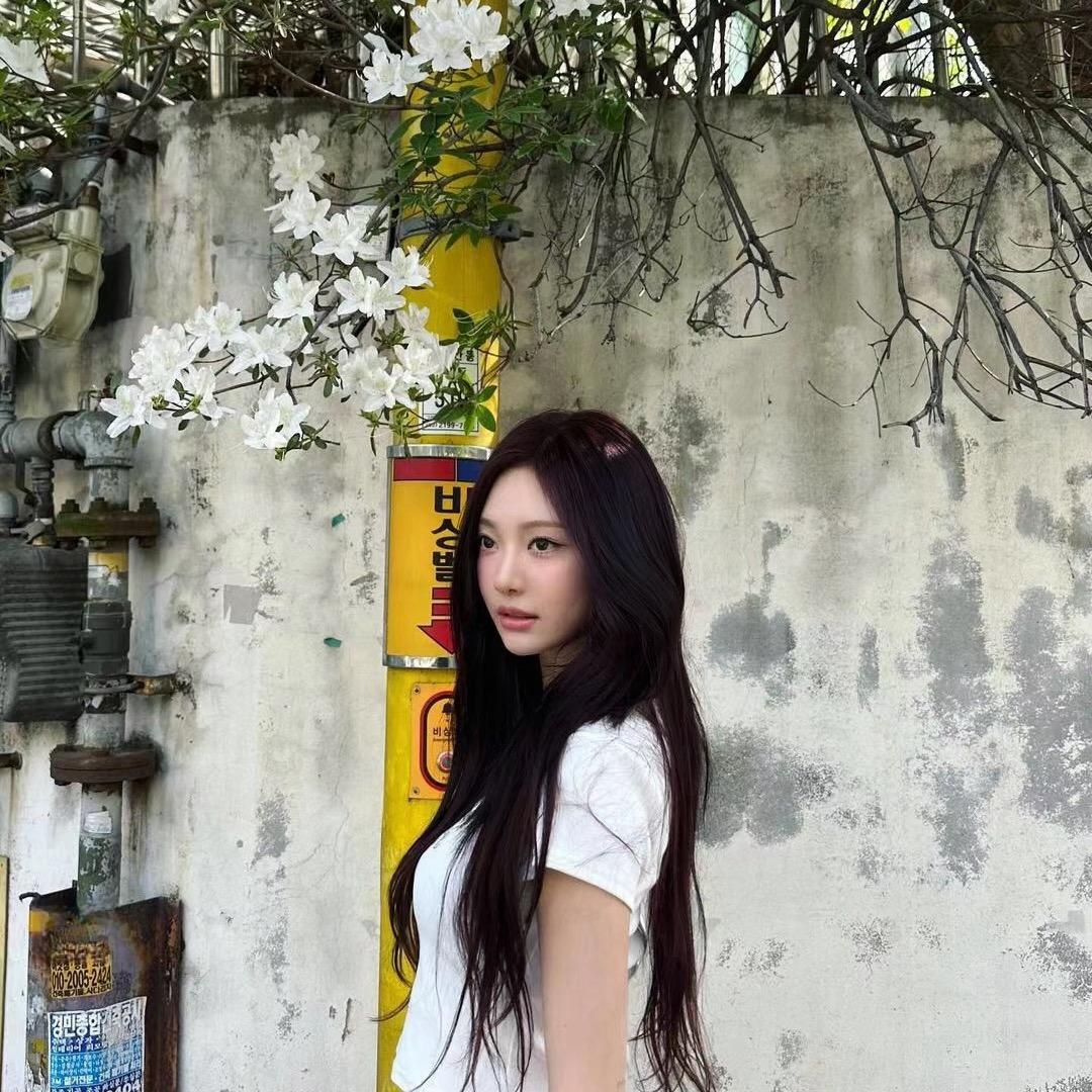 井柯