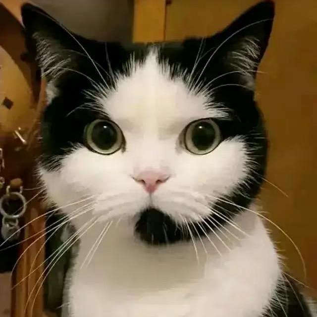 七.