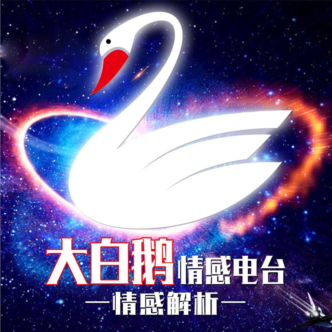 大白鹅&情感电台