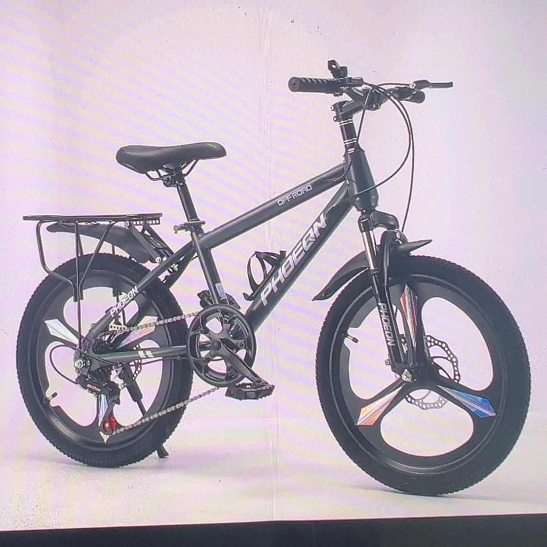 上海凤凰晟象自行车青少年学生车